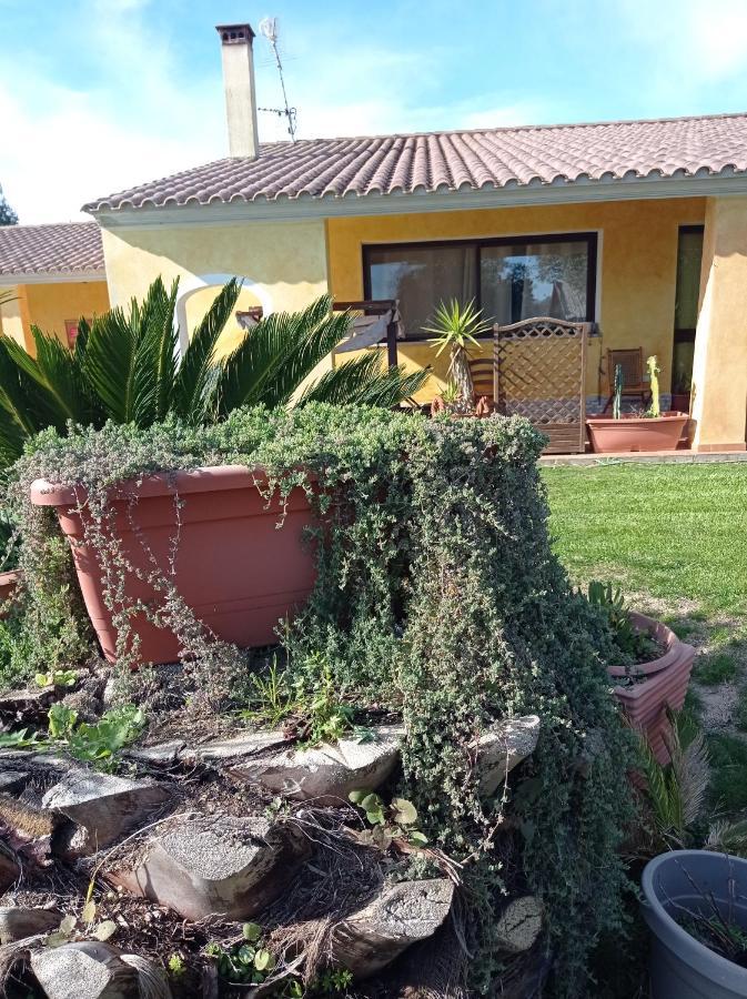 La Luce Del Sinis Villa Riola Sardo Eksteriør billede